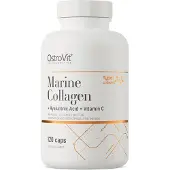 OstroVit Collageen - Marine Collageen met hyaluronzuur en vitamine C 120 capsules - 120 Capsules