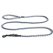 HAY Dogs Leash Braided leiband hond L160cm lavender / groen