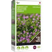 Buzzy Seeds Groenbemester Perzische Klaver (Trifolium Resupinatum) 200 G
