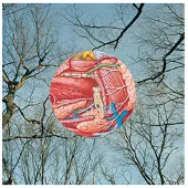 Cd Glean