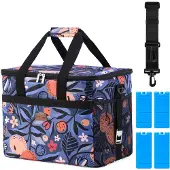 Packaway 4 Laags Geïsoleerde Koeltas - Lunchtas 30 liter - Valencia