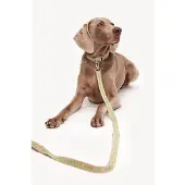 DOGGUO & Loavies Hondenriem DL-LEASH-GREEN-M
