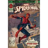 Merkloos Poster Marvel Spider-Man Comic Front 61x91,5cm