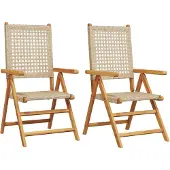 vidaXL Tuinstoelen 2 st massief acaciahout en poly rattan beige