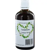 Therapeutenwinkel Taraxacum officinalis