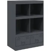 vidaXL Hoge kast 67x39x95 cm staal antracietkleurig