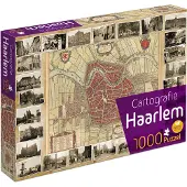 Tucker's Fun Factory Haarlem Cartografie Puzzel (1000 stukjes)