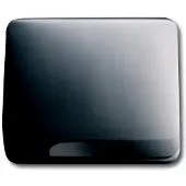 ABB Busch-Jaeger centraalplaat met deksel voor 50x50mm platina - 2CKA001753A5978