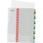 Leitz Cosy bedrukbare plastic tabbladen A4 met 20 tabs (11-gaats)