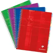 Clairefontaine Wirebound Notebook - Grafiek met 12 tabbladen 60 vellen - 6 3/4