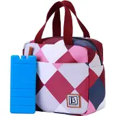 Brisby 4 Laags Geïsoleerde Koeltas - Lunchtas - Kolftas 4 liter - Blok Rose