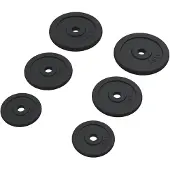 vidaXL Halterschijven 6 st 30 kg gietijzer