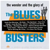 Cd Blues Busters - Wonder And Glory Of