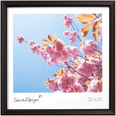 SecaDesign Iris Fotolijst - Fotomaat 13x13 cm - Zwart