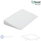 cambrass Liso E 55x37x8.5 Cm Pillow Transparant Kinderen
