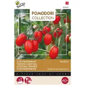Buzzy Pomodori Groentezaad Tomaat (Lycopersicon Esculentum 'Ravello' F1)