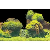 Superfish Aquarium Decoratie Poster E3 Multi 100 X 49 Cm