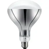 Schiefer E26 R120 Reflector Gloeilamp | 200W 2700K 220V 360° | Dimbaar