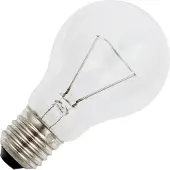 Schiefer 10X Schiefer E27 Gloeilamp | 25W 2700K 200lm 42V | Dimbaar