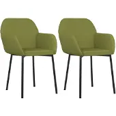 vidaXL Eetkamerstoelen 2 st fluweel lichtgroen