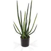 Maxifleur Kunstplanten Sanseveria Cylindrica kunstplant 75cm - groen