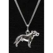 MOOYE ® - Collectie Zilveren Ca de bou ketting hanger - groot