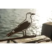 Birdwise - Meeuw
