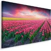 Karo-art Schilderij - Bloeiend tulpen veld, premium print
