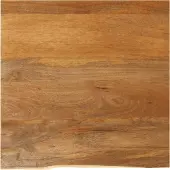 vidaXL Tafelblad met natuurlijke rand 40x40x3,8 cm massief mangohout