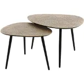 Fraaai Dylan salontafel set van 2