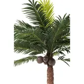 J-Line Palmboom 4 Kokosnoten In Pot Plastic Groen