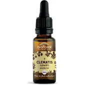 Biofloral Bachbloesems 09 Bosrank Bio 20 ml Druppels