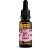 Biofloral Bachbloesems Nr. 27 Rock Water | 20 ml
