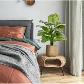 Maxifleur Kunstplanten Calathea Fasciata kunstplant 70cm