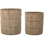 Bloomingville Elit Mand, Natuur, Mendong Gras