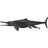 Collecta Dinosaurus Temnodontosaurus