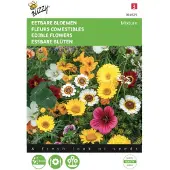 Buzzy 5 stuks Mengsel Eetbare bloemen Tuinplus