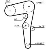 Gates 5715XS Distributieriem