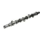 AE Nokkenas CAM921