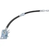 Delphi LH7543 Remslang