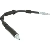 Delphi Remslang LH7145