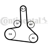 CONTINENTAL CTAM Distributieriem CONTINENTAL CT1245