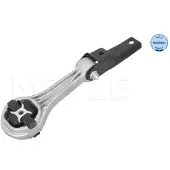 Meyle 100 199 0191 Motorsteunlager