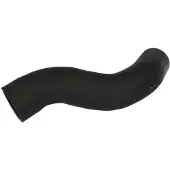 THERMOTEC Slang, luchtRadiator DCW034TT
