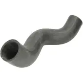 THERMOTEC Radiateurslang DWC005TT