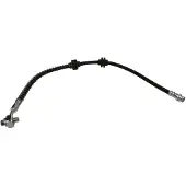 Delphi Remslang LH6874