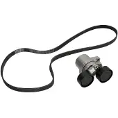 INA Multiriem set 529020610 Ina voor o.a. BMW