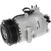 Valeo 813244 Aircopomp