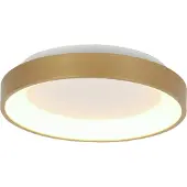 Steinhauer Plafondlamp Ringlede 28cm Goud rond dimbaar 1600 lumen
