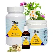 Holisan Parasietenkuur 6 week z ornithine/arginine